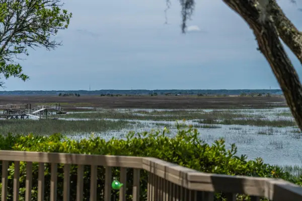 12 Marsh Island Lane, Isle of Palms, SC 29451
