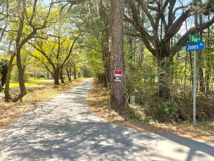 2 Jones Road, Awendaw, SC 29429 - #3