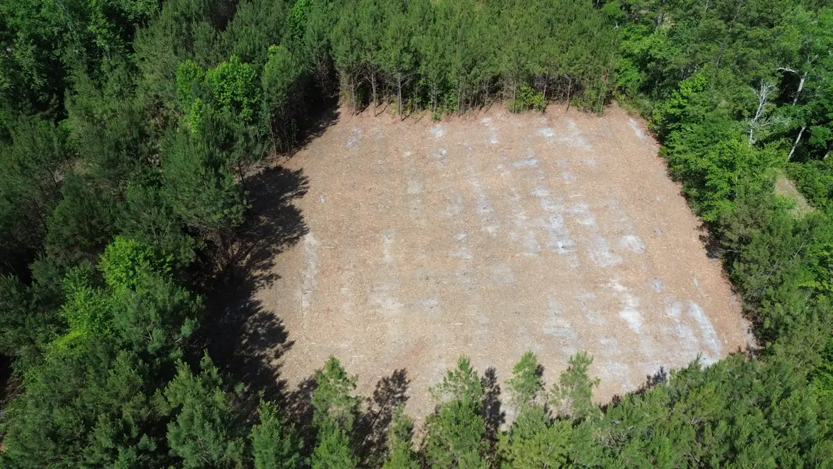 2 Highway 311, Cross, SC 29436 - #1