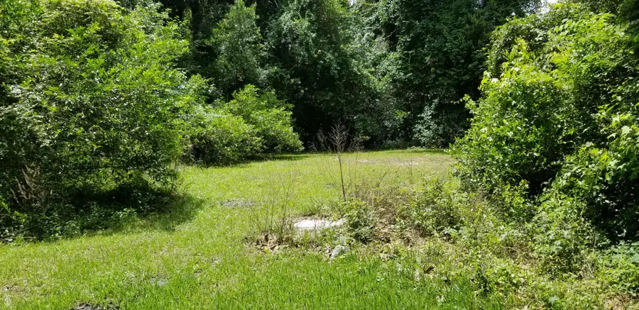 102 Harper Street, Walterboro, SC 29488 - #3