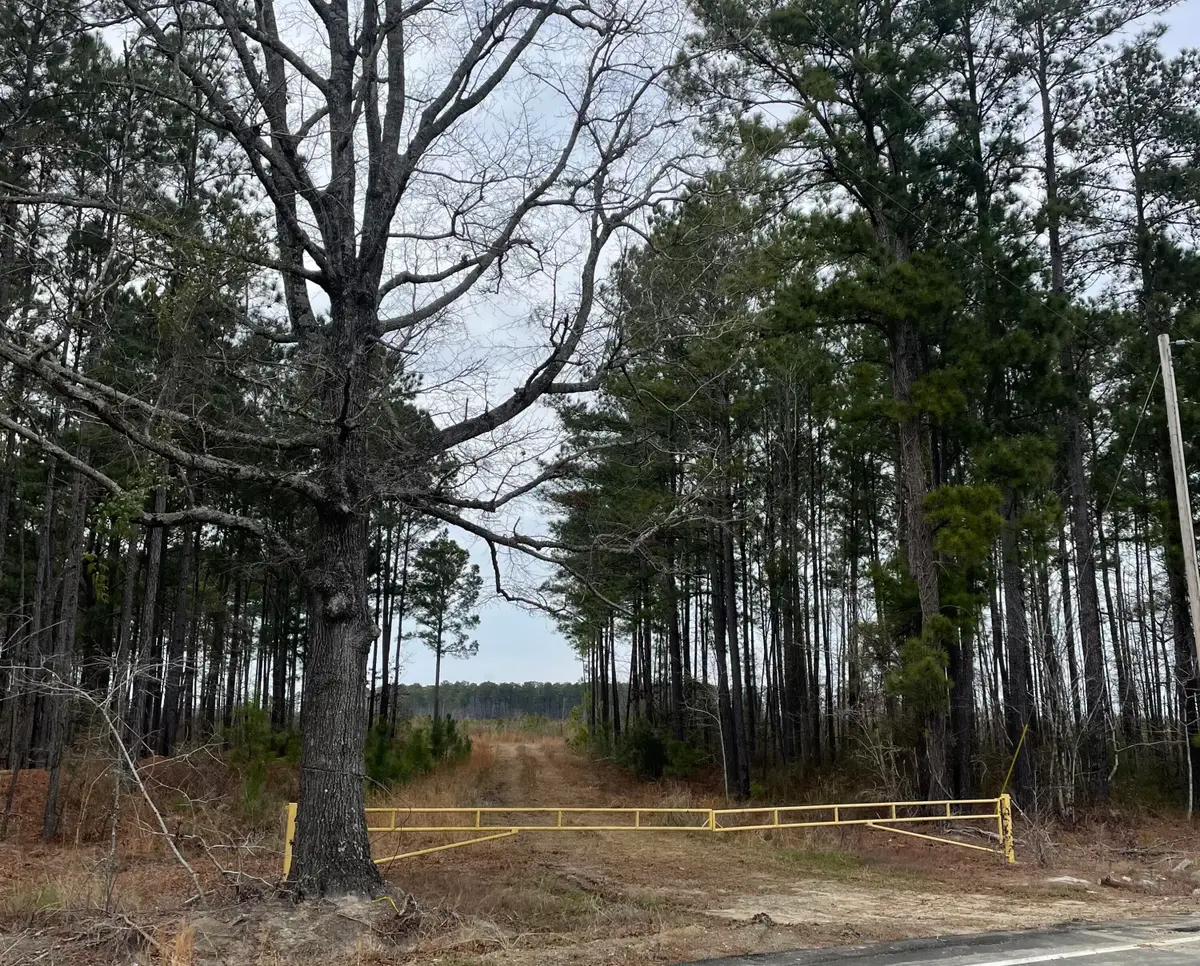 Tbd Rocky Ford Road, Salters, SC 29590 - #1