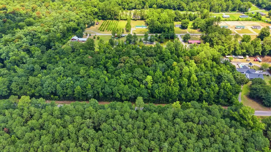 601 Huggins Landing Road, Galivants Ferry, SC 29544 - #3
