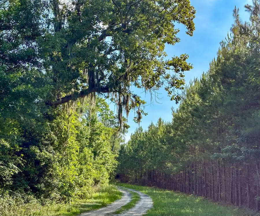 0 Henry Road, Hemingway, SC 29554 - #3