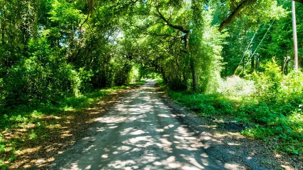 00 Arsburn Road Road, James Island, SC 29412