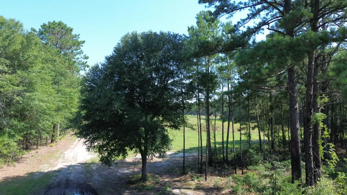4 Trojan Road, Cross, SC 29436 - #1