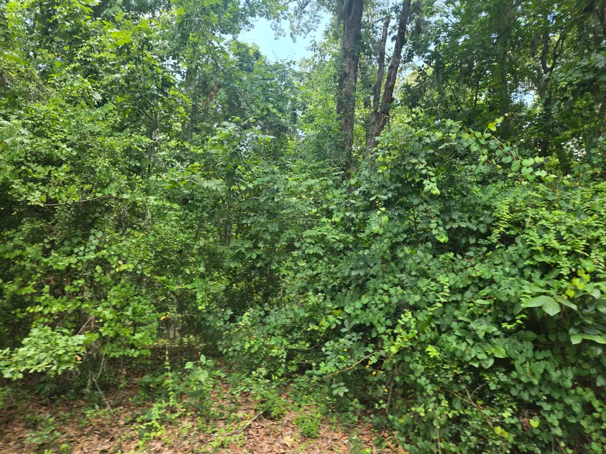 12 Pinewood Drive, Santee, SC 29142 - #1
