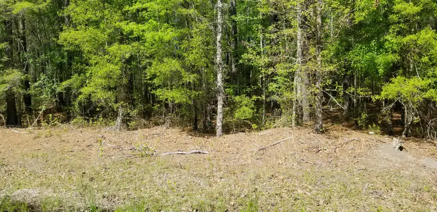 00 Rabb, Walterboro, SC 29488 - #2