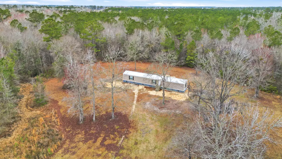 1222 Birch Creek Road, Andrews, SC 29510 - #1