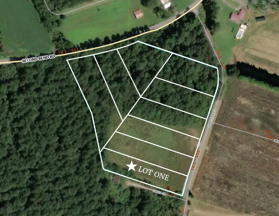1 Dantzler Road #Lot 1, Harleyville, SC 29448 - #2