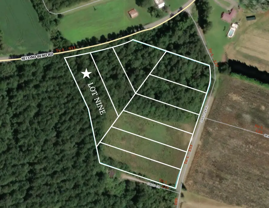 Lot 9 2nd Bend Road, Harleyville, SC 29448 - #2