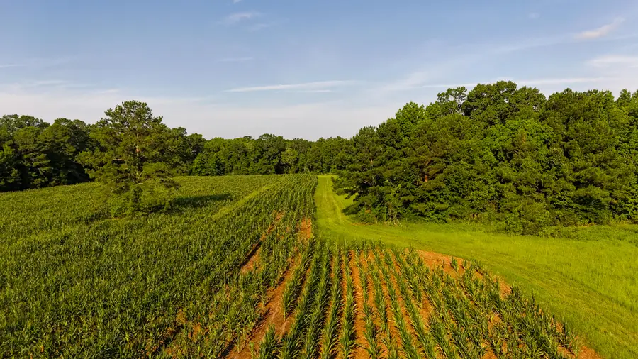 0 Hope Plantation Lane, Jacksonboro, SC 29452 - #2