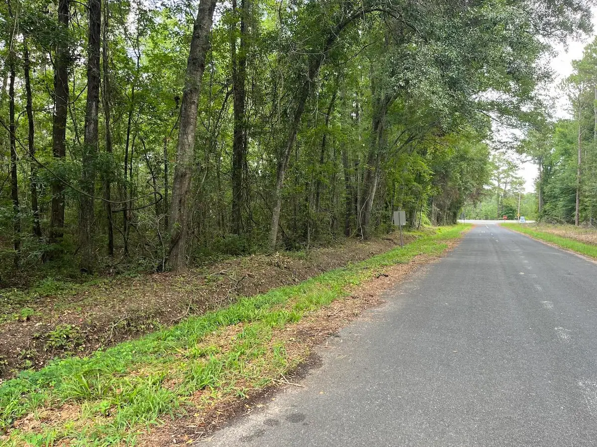 00 Henry Street, Walterboro, SC 29488 - #1