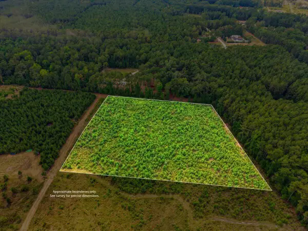 00 Adams Road, Cottageville, SC 29435