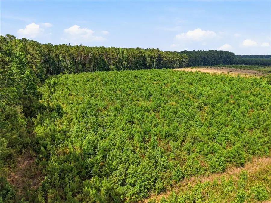 00 Adams Road, Cottageville, SC 29435 - #2