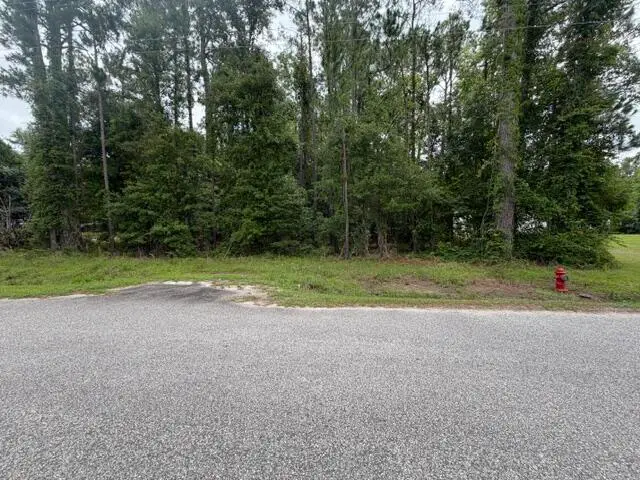 Tbd Lakewood Drive, Manning, SC 29102 - #1