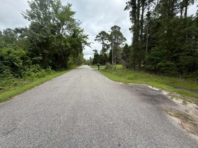 Tbd Lakewood Drive, Manning, SC 29102 - #2