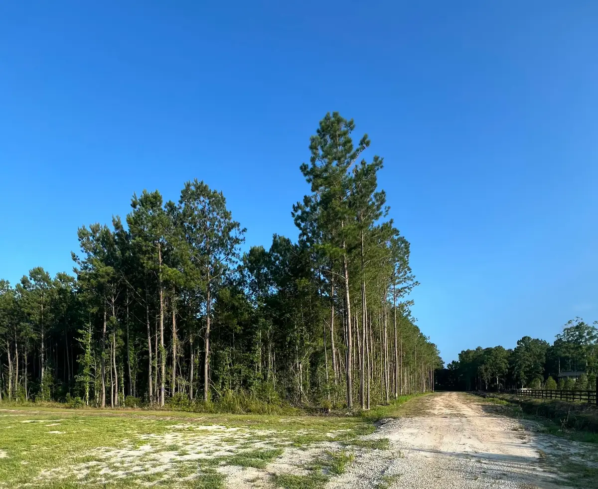 0 Droze Lane, Summerville, SC 29486 - #1