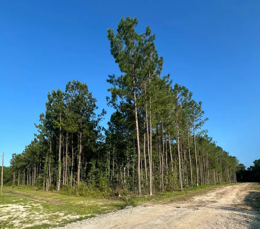 0 Droze Lane, Summerville, SC 29486 - #2