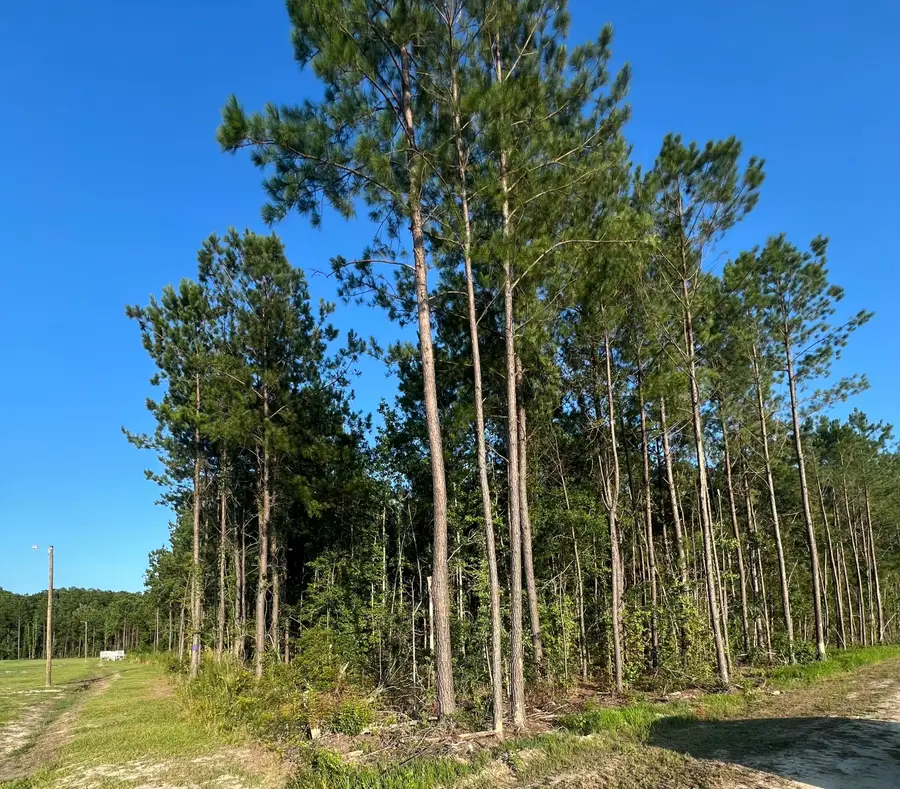 0 Droze Lane, Summerville, SC 29486 - #3