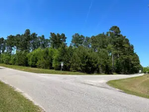 0 Marigold Road, Orangeburg, SC 29115 - #1