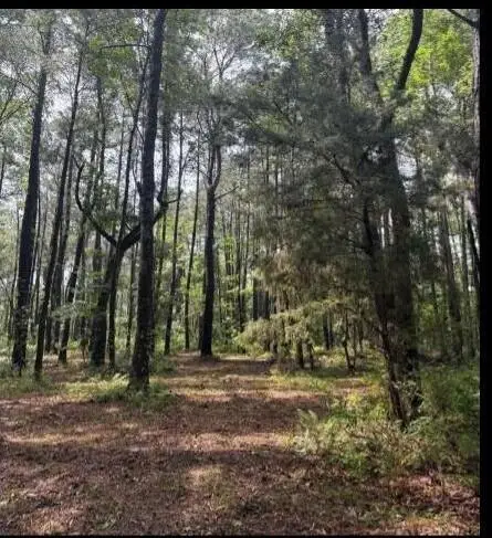 7463 N Highway 17 Highway, Awendaw, SC 29429 - #3