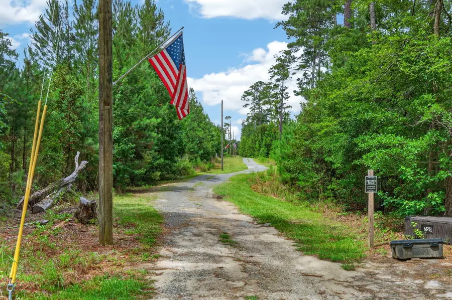 446 Salem Road, Dorchester, SC 29437 - #3