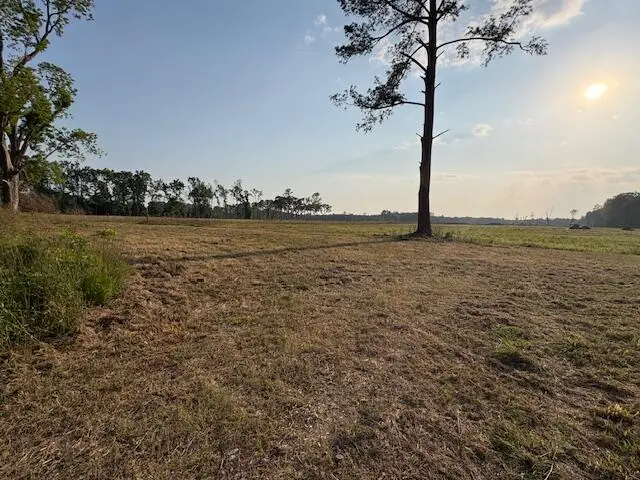 255 Old Spell Road, Saint George, SC 29477 - #3