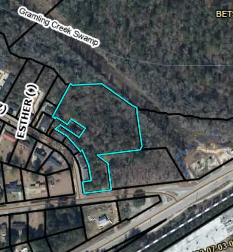 210212 Esther Lane, Orangeburg, SC 29115 - #1