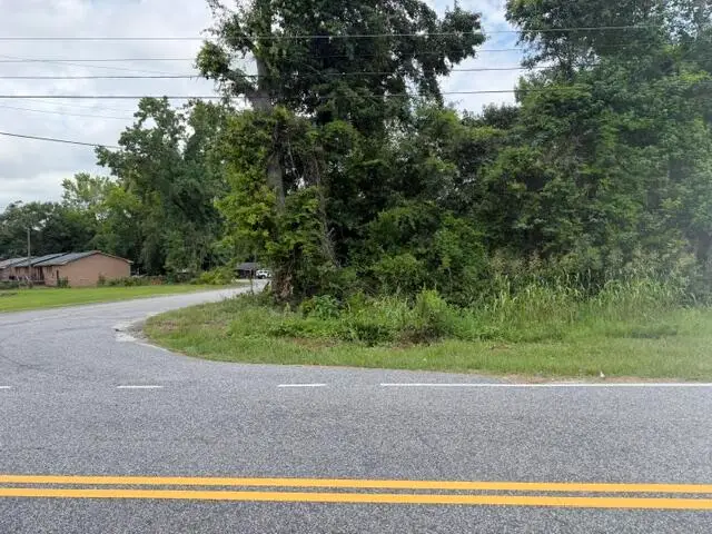 210212 Esther Lane, Orangeburg, SC 29115 - #3