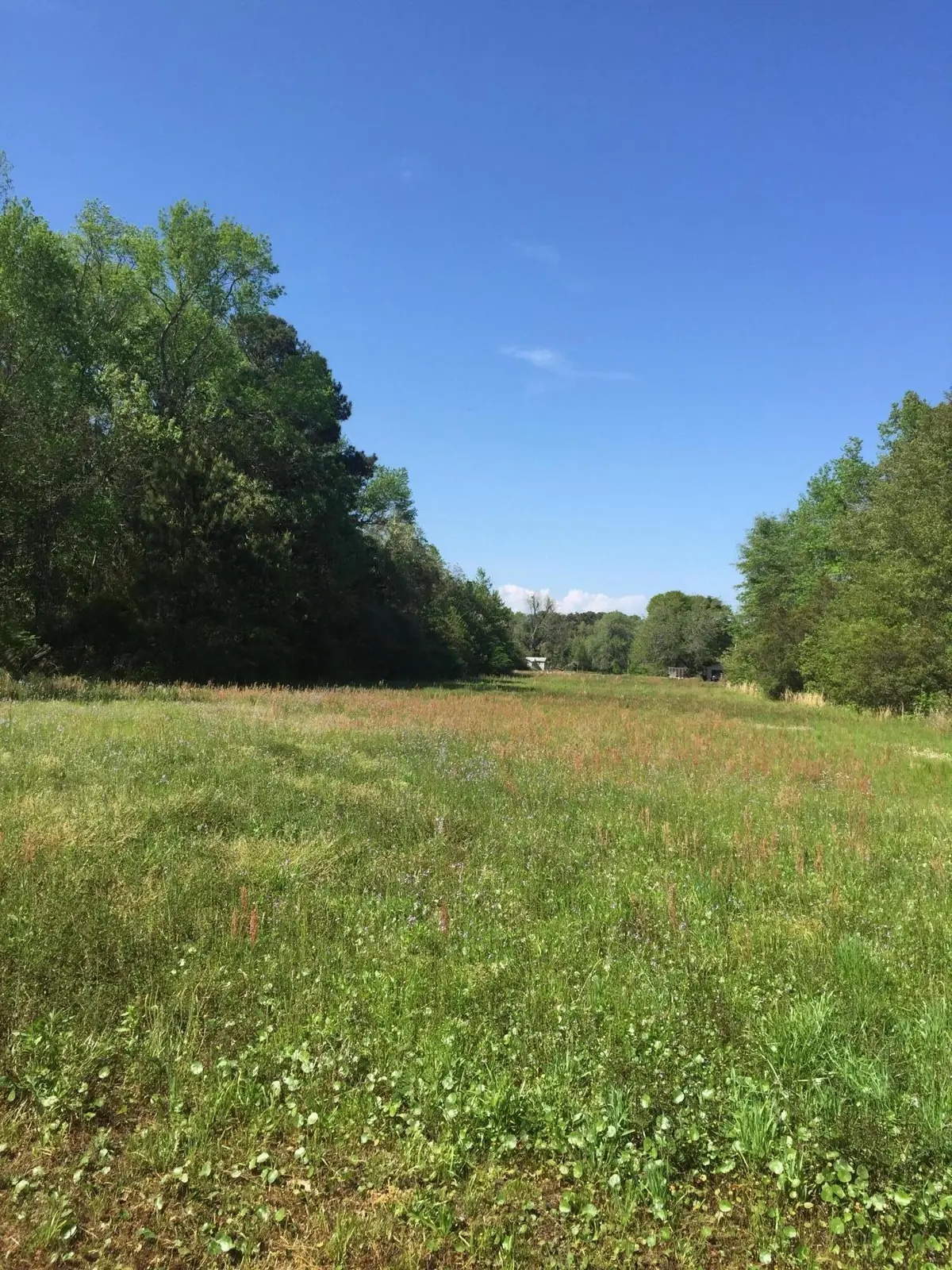 0 Boy Scout Road, Wadmalaw Island, SC 29487 - #1