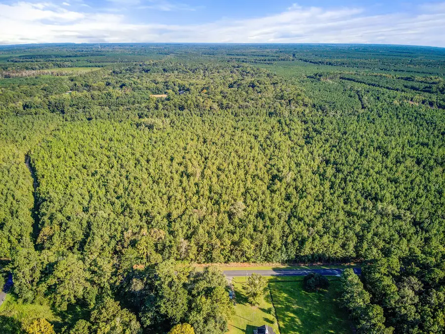1739 Summers Drive, Ridgeville, SC 29472 - #2
