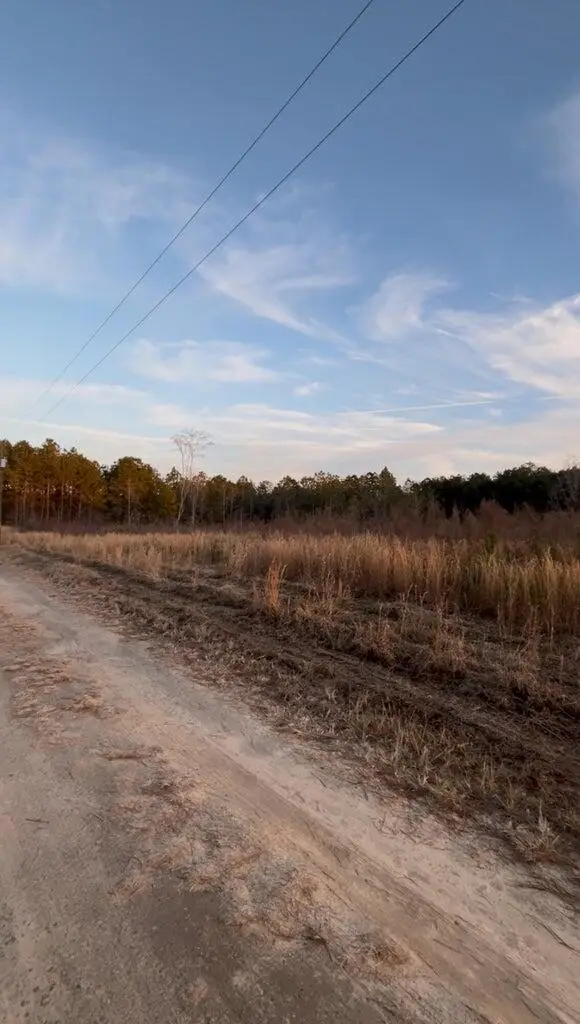 267 Eagle Terrace Trail, Cross, SC 29436 - #1