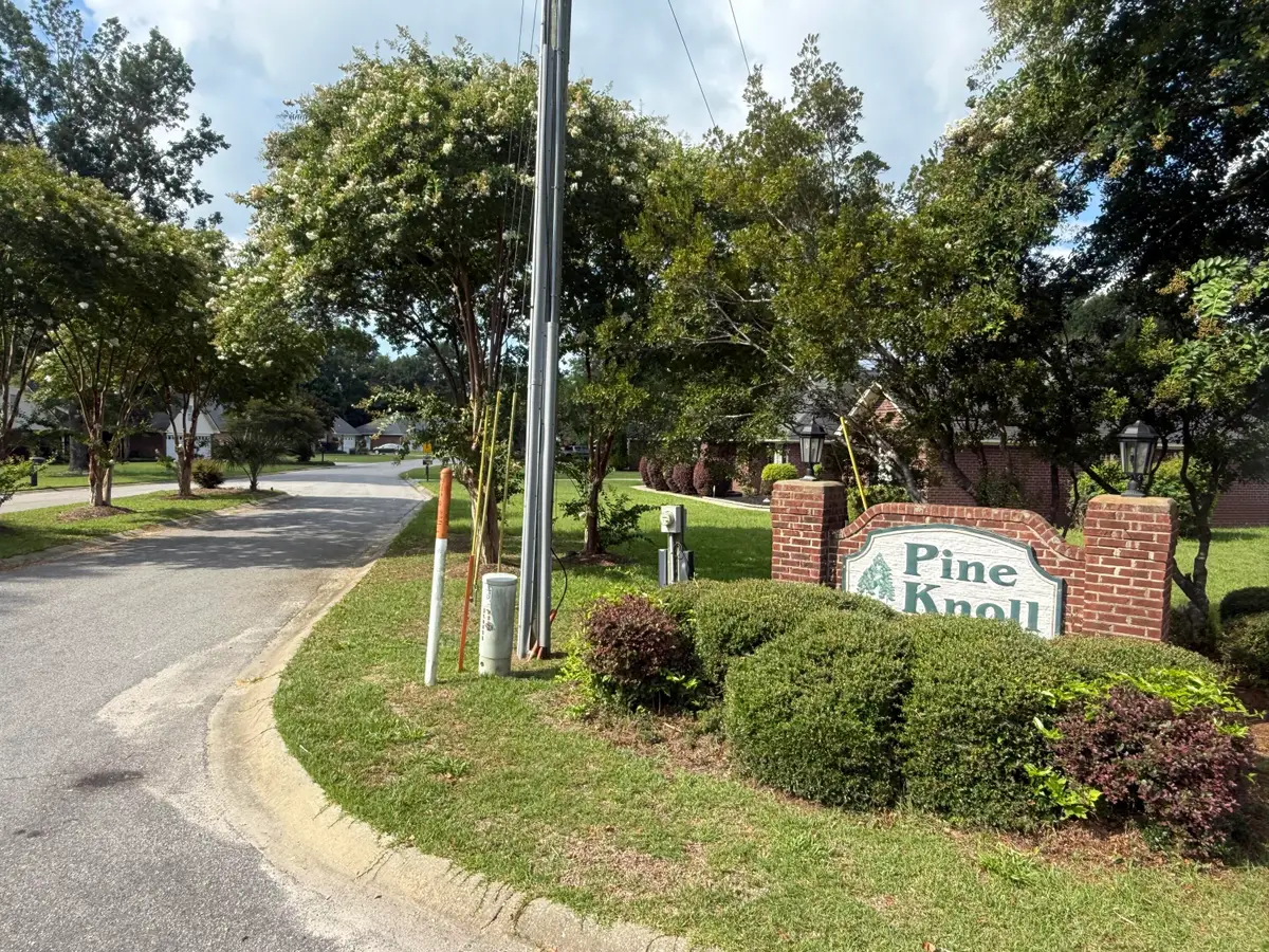 1402 Loblolly, Manning, SC 29102 - #1