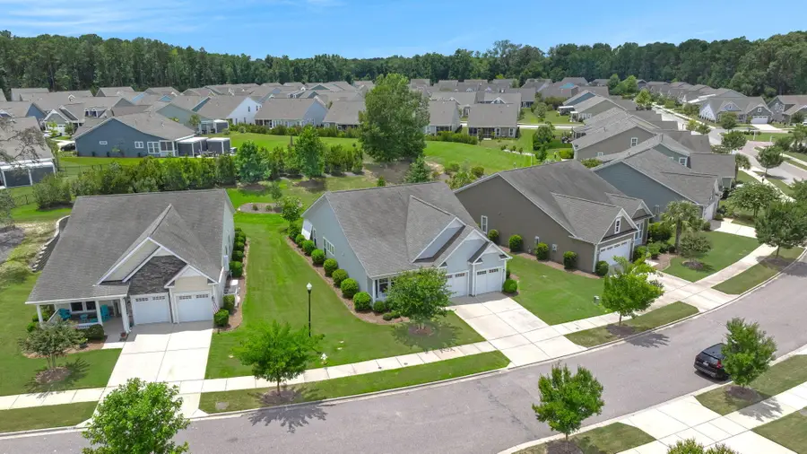 3053 Cross Vine Lane, Summerville, SC 29483 - #3