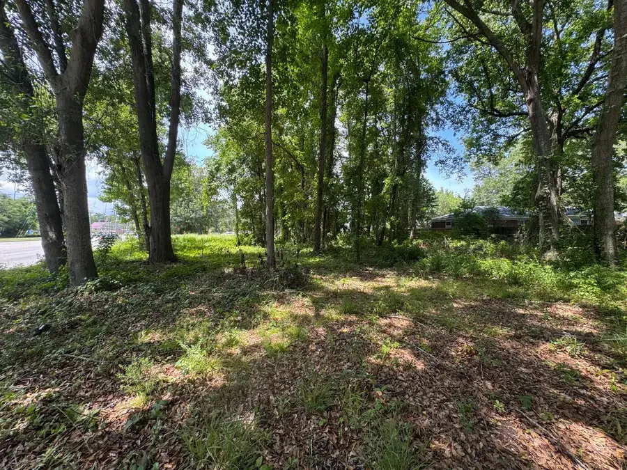 1206 Folly Road, Charleston, SC 29412 - #2