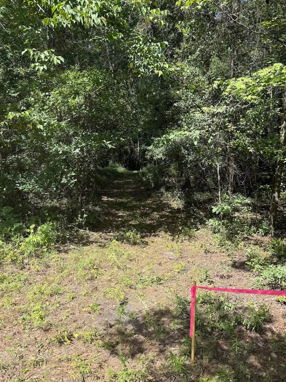 1 Parkers Ferry Road, Adams Run, SC 29426 - #1