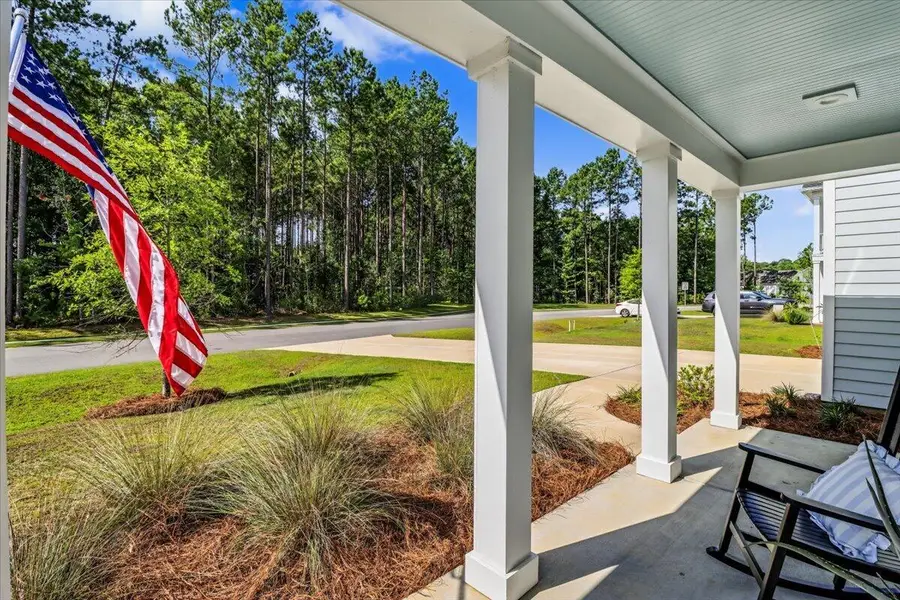 518 Chloe Elizabeth Court, Huger, SC 29450 - #3
