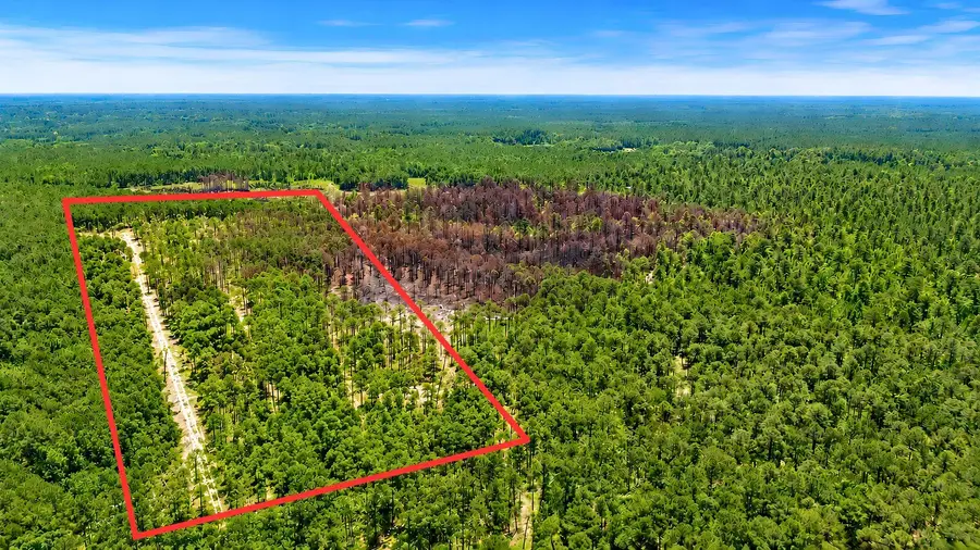 00 Campbell Road, Ridgeville, SC 29472 - #2