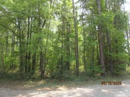 0 Old Arrowhead Road, Huger, SC 29450