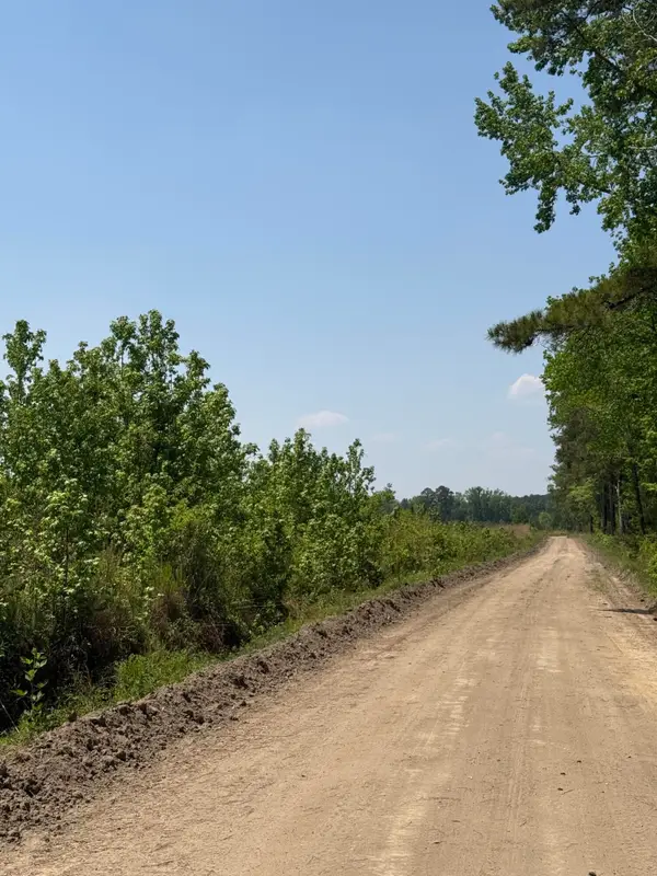 1725 Bethel Forest Road, Orangeburg, SC 29115