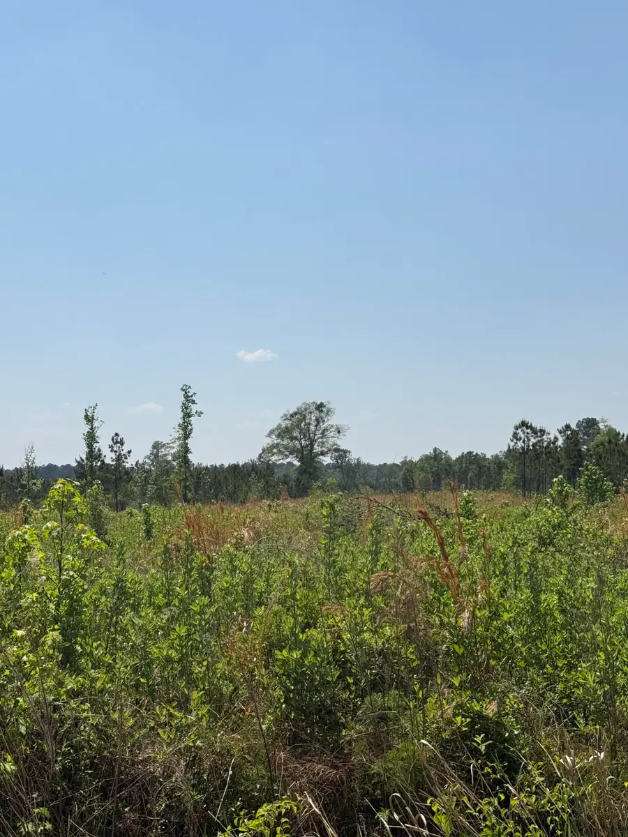 1725 Bethel Forest Road, Orangeburg, SC 29115 - #2