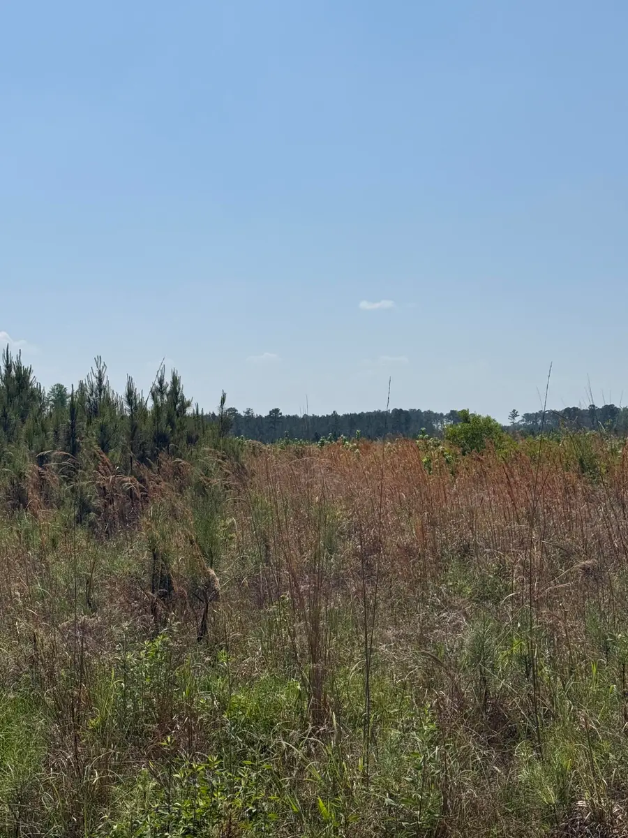 1725 Bethel Forest Road, Orangeburg, SC 29115 - #3