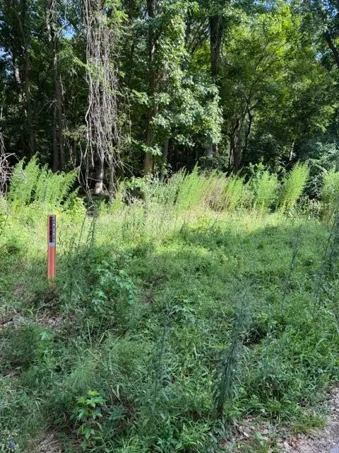 344 Dupre Road, McClellanville, SC 29458 - #1