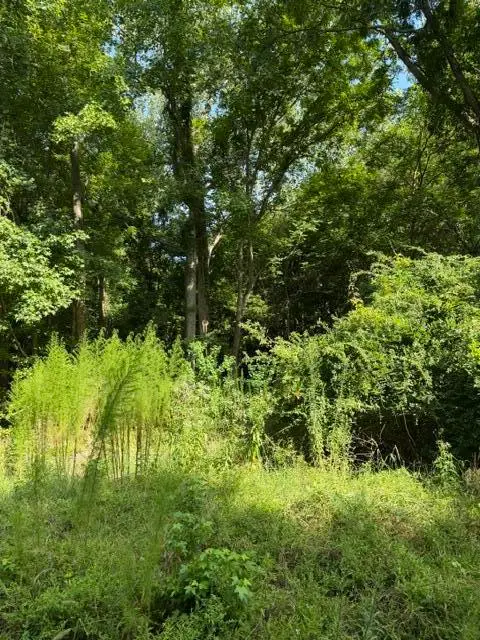 344 Dupre Road, McClellanville, SC 29458 - #3
