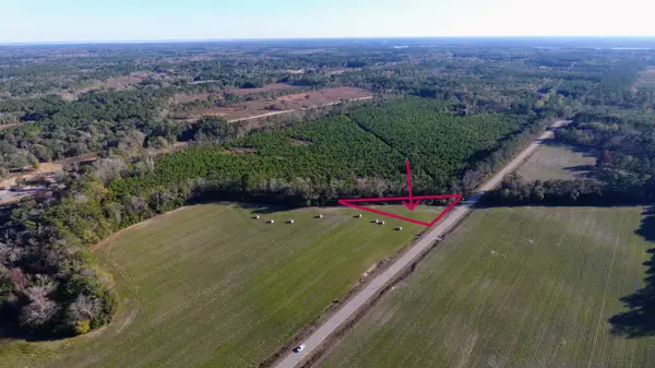 0 Rocks Pond Road #Lot X, Eutawville, SC 29048