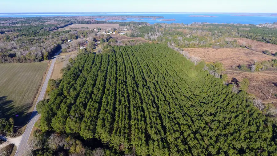 0 Rocks Pond Road #Lot F, Eutawville, SC 29048 - #3