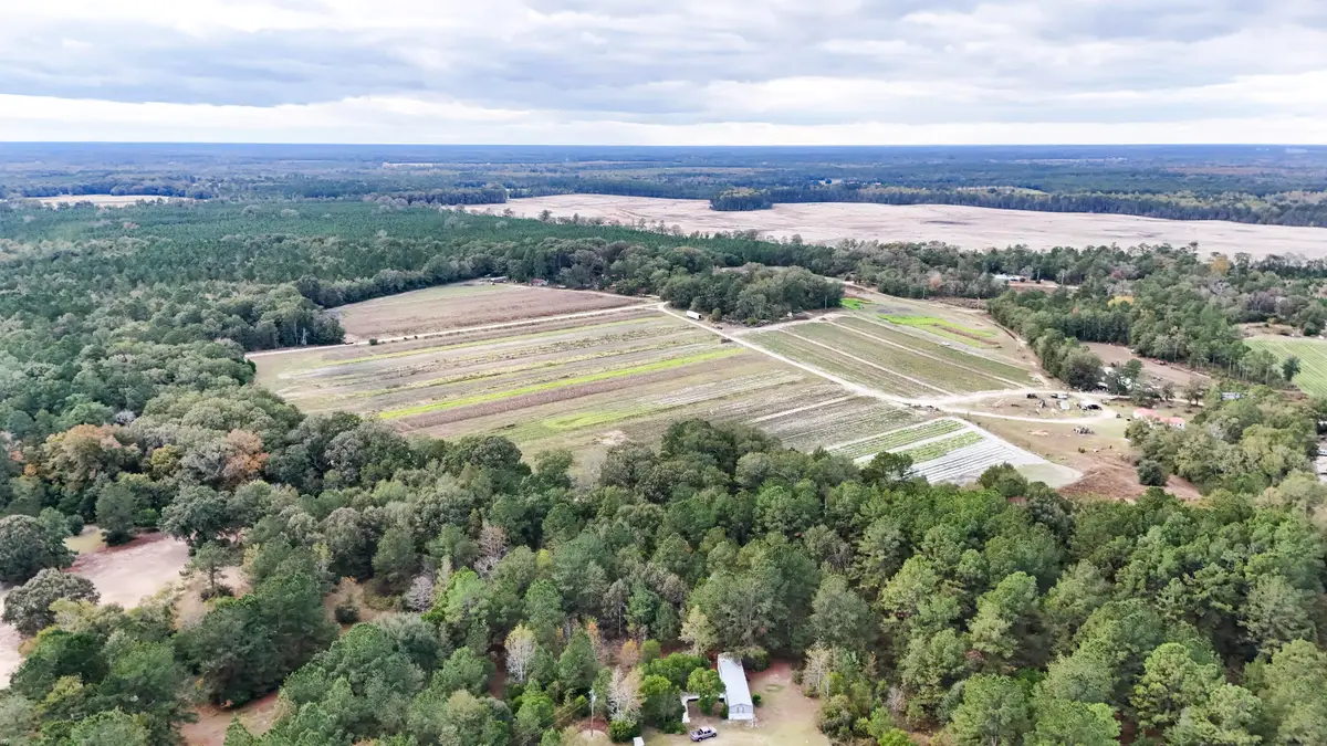 00 Chavis Road, Hilda, SC 29813 - #1