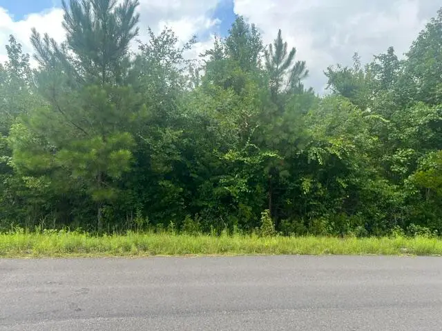 0 Thomas Road, Dorchester, SC 29437 - #1