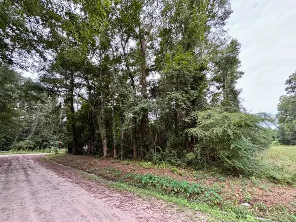 0 Glayton Drive, Ravenel, SC 29470