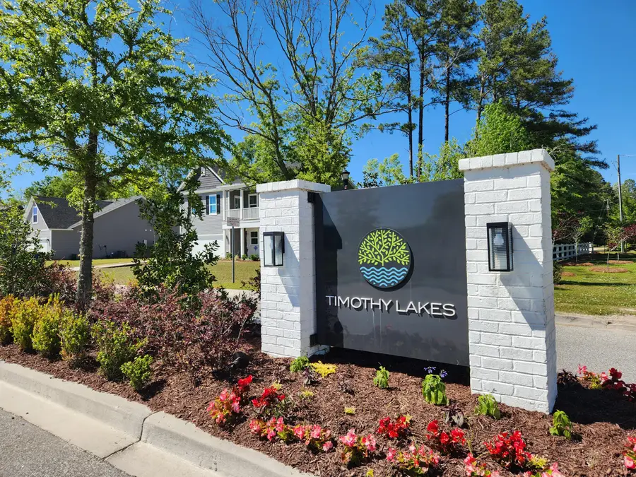 200 Darby Meadow Lane, Ridgeville, SC 29472 - #3